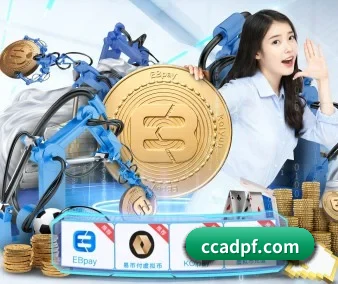 持续创新