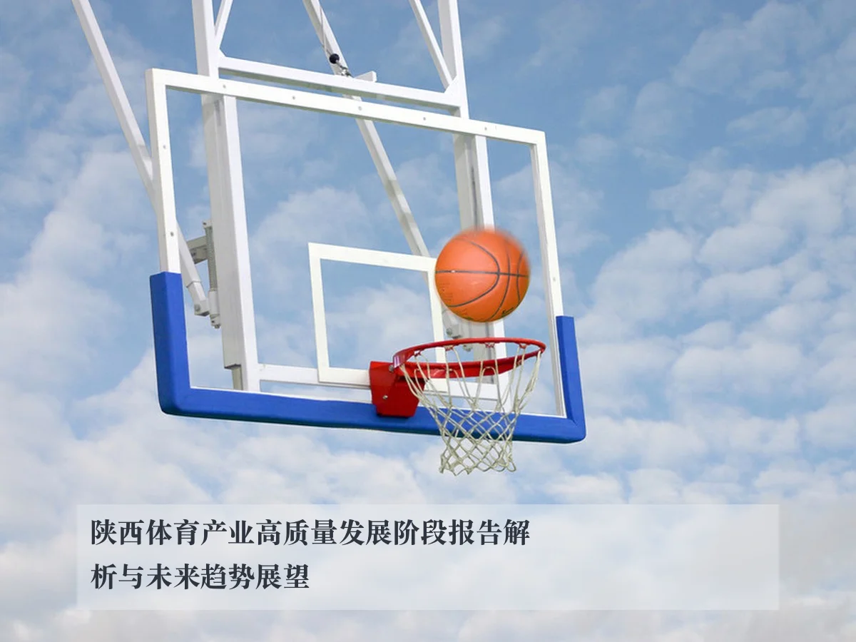 陕西体育产业高质量发展阶段报告解析与未来趋势展望