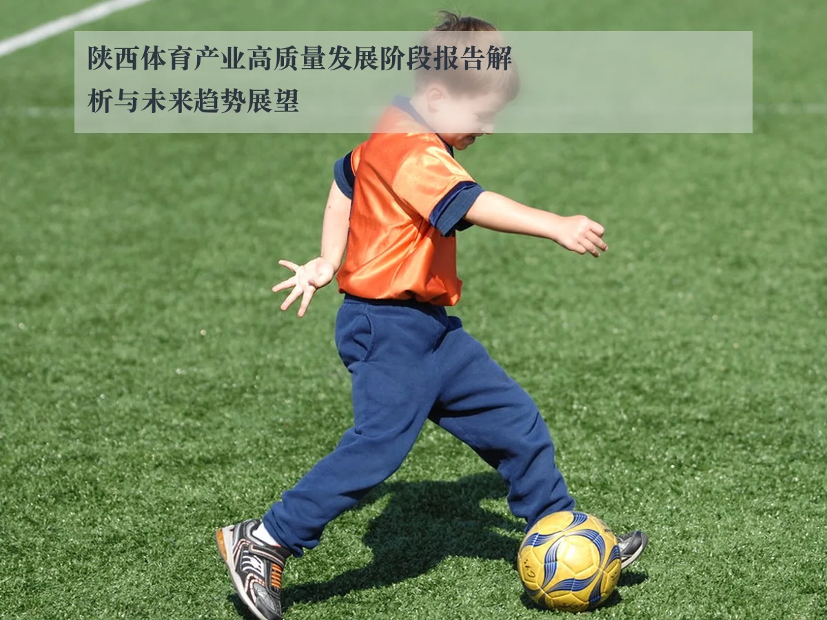 陕西体育产业高质量发展阶段报告解析与未来趋势展望